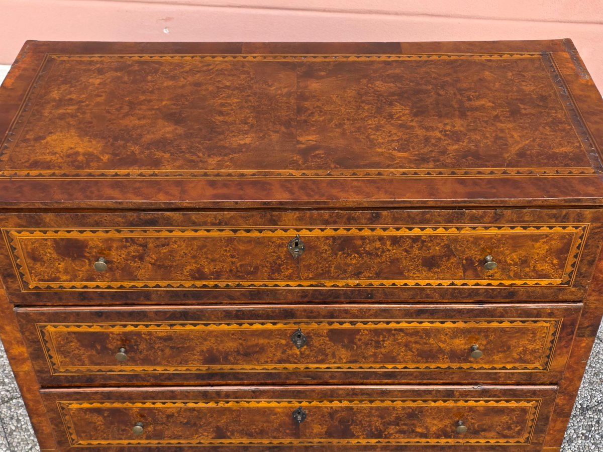 Venetian Louis XVI Chest Of Drawers In Walnut And Thuya Burr, Late 18th Century-photo-2