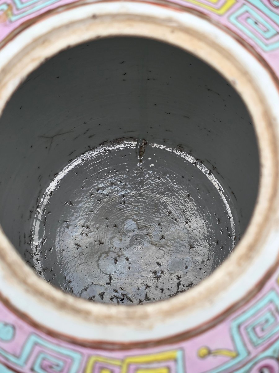 Grand vase potiche chinois couvert en porcelaine peinte – première moitié du XXe siècle-photo-2