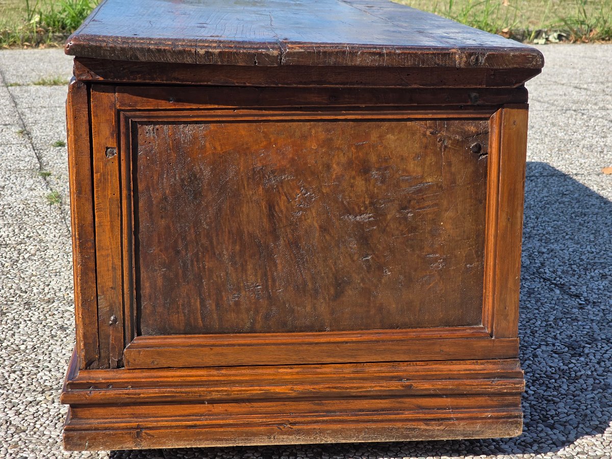 Rustic Trentino Chest, 18th Century-photo-5