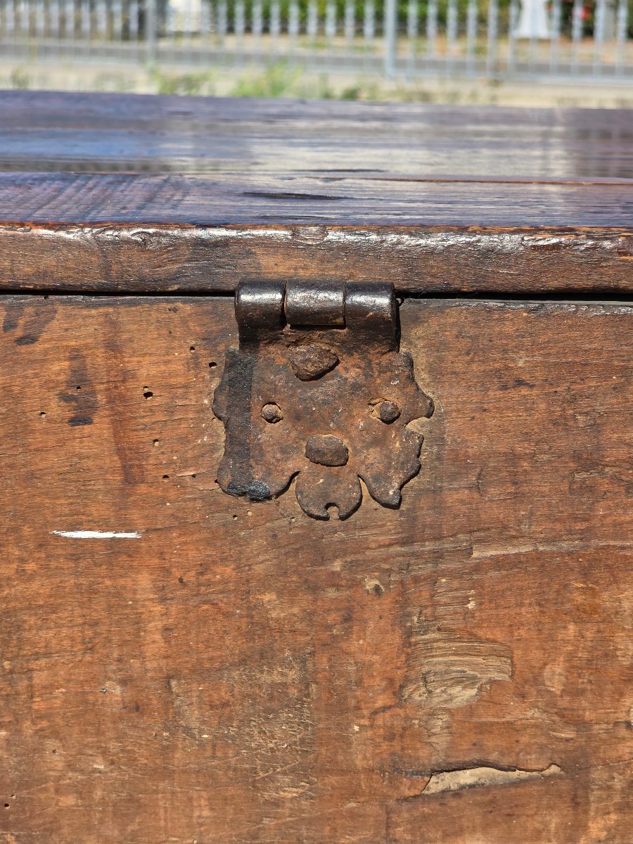 Rustic Trentino Chest, 18th Century-photo-7