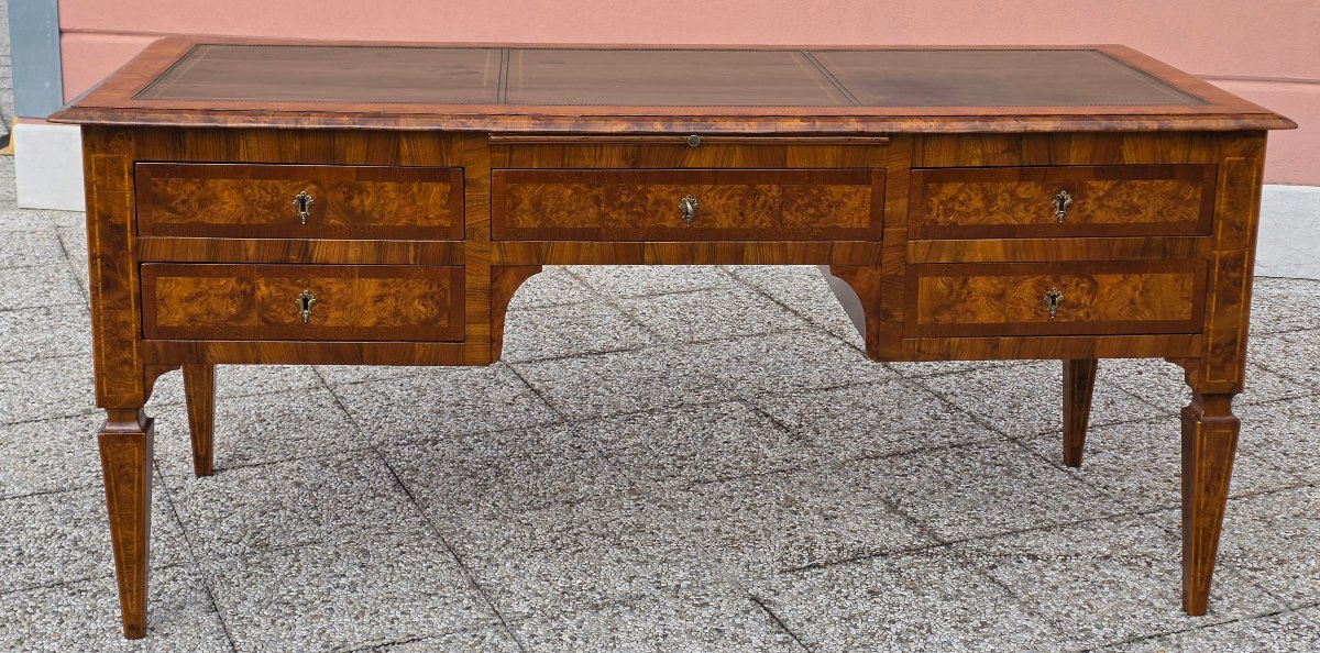 Large Neoclassical Center Desk Made Of Elm Burl, Emilia, Late 18th–early 19th Century-photo-5