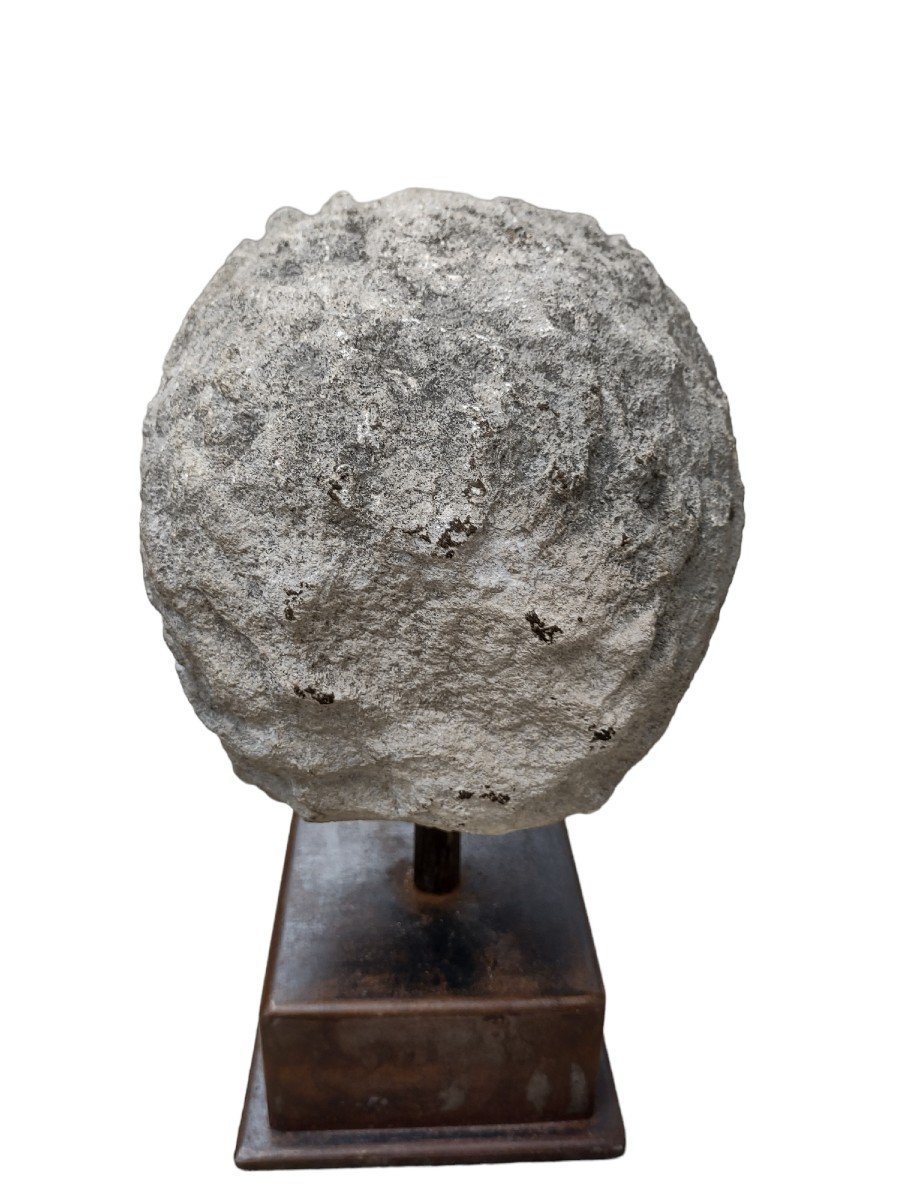 Stone Lion Head Haute Epoque-photo-1