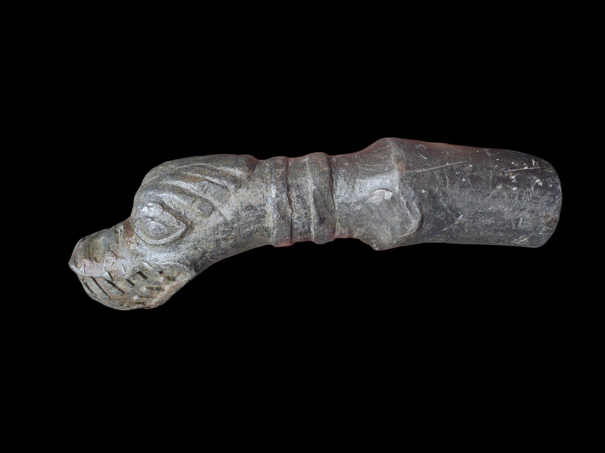 Bouche De Fontaine Zoomorphe XVIe Siècle