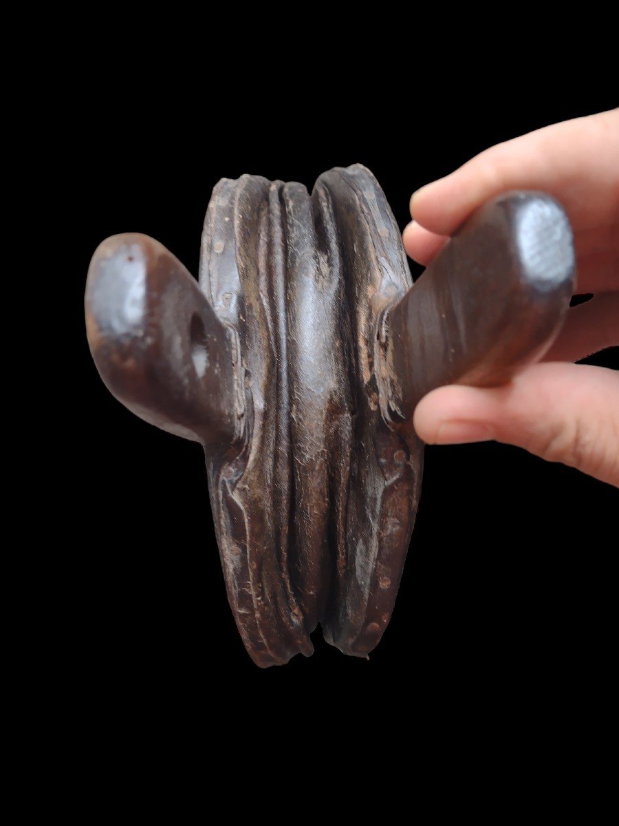 Two Engraved Belliws XIX Century -photo-2