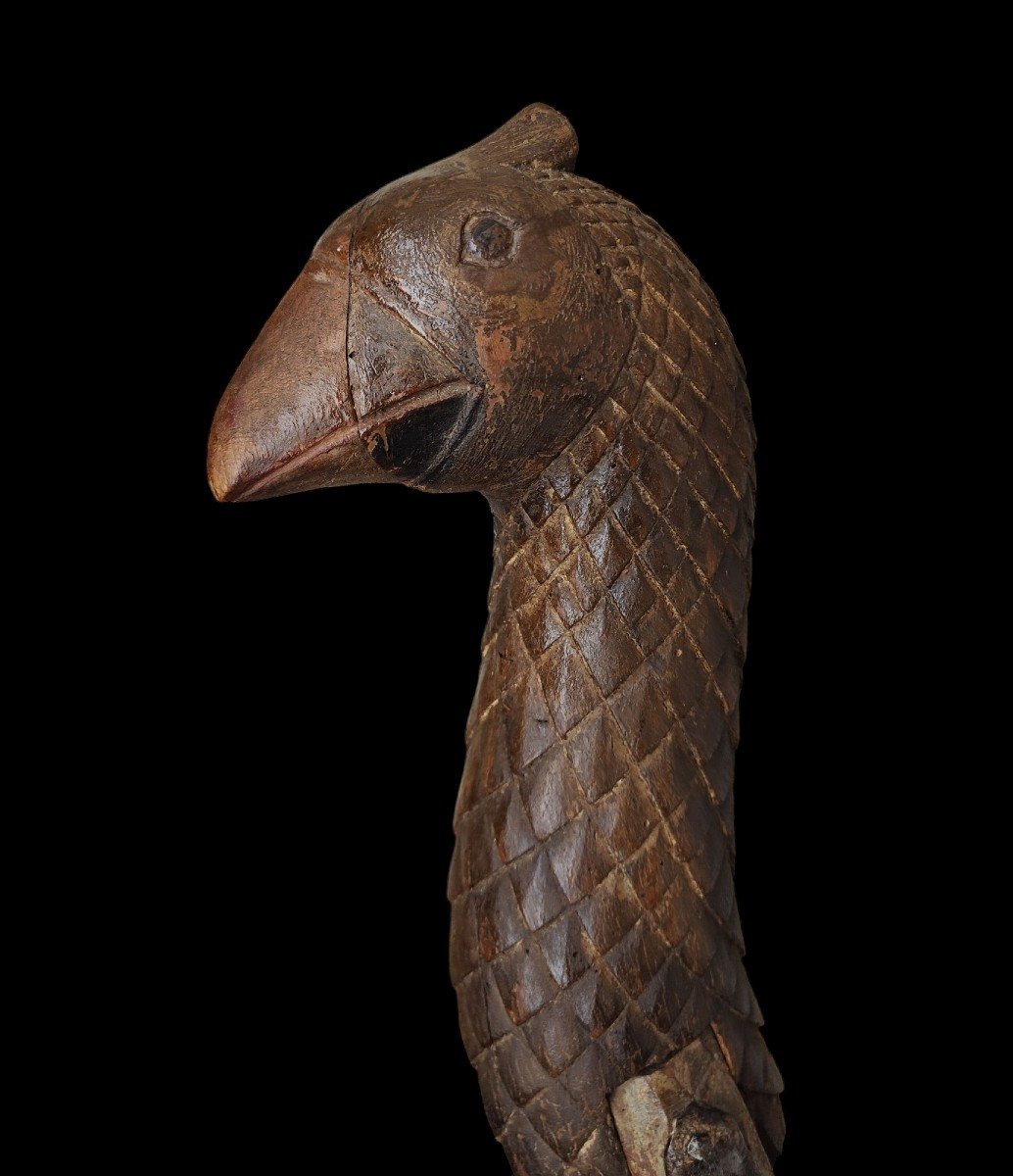 Zoomorphic Element Carved From A Sleigh Eighteenth Century-photo-2