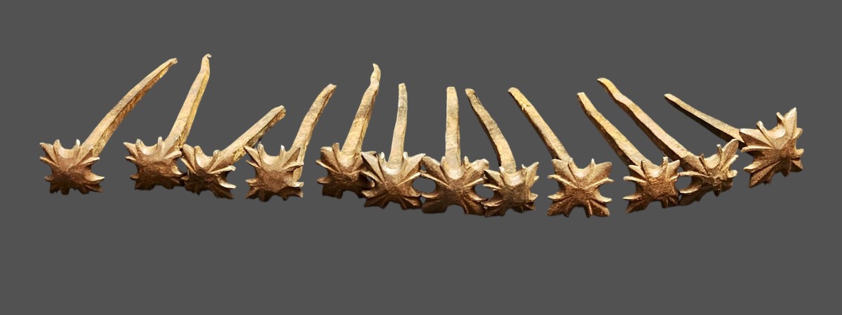 12 Wrought Iron Nails XVIII Century-photo-2