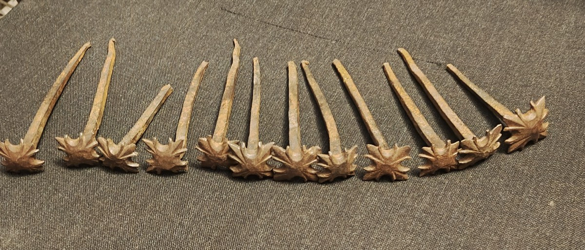 12 Wrought Iron Nails XVIII Century-photo-4