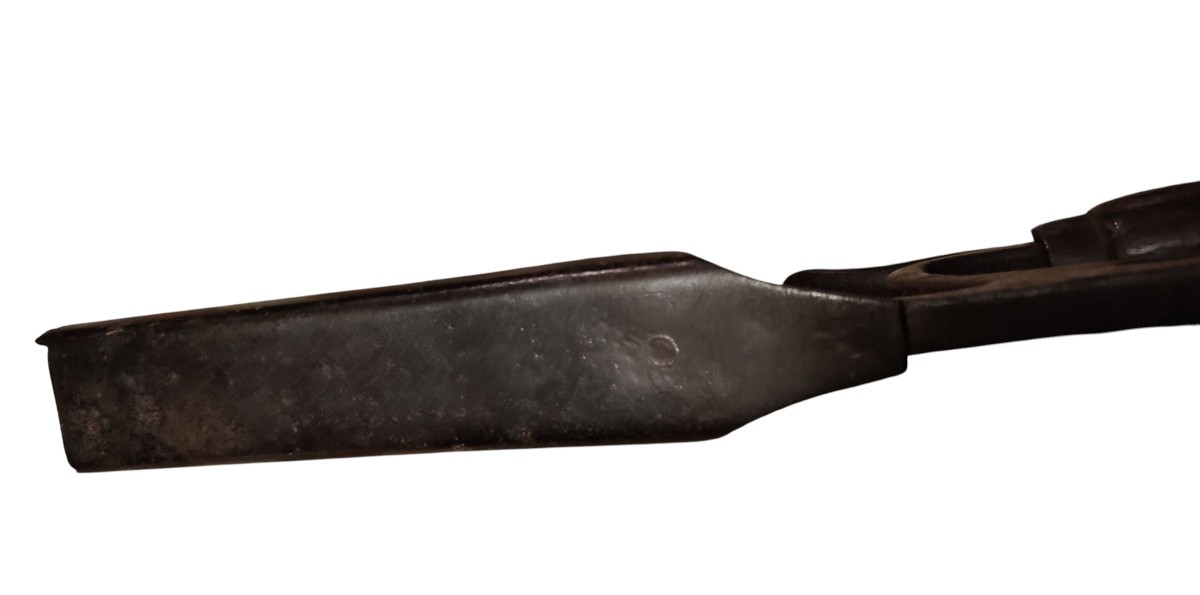 Zoomorphic Farrier's Buttress-photo-1
