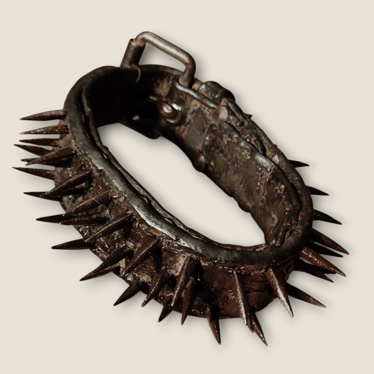 A Leather Dog Collar Late XVIII Century