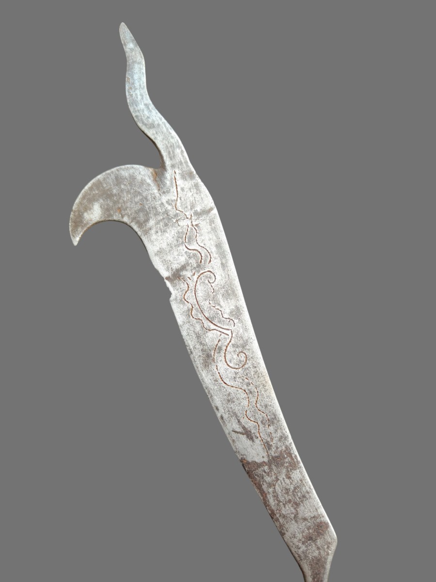 Rare Winemaker's Tool With An Ebony Handle, Piedmont, 18th Century-photo-1
