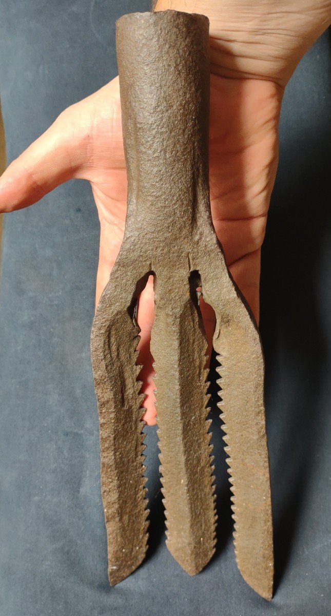 Forged-iron Eel Spear-photo-2