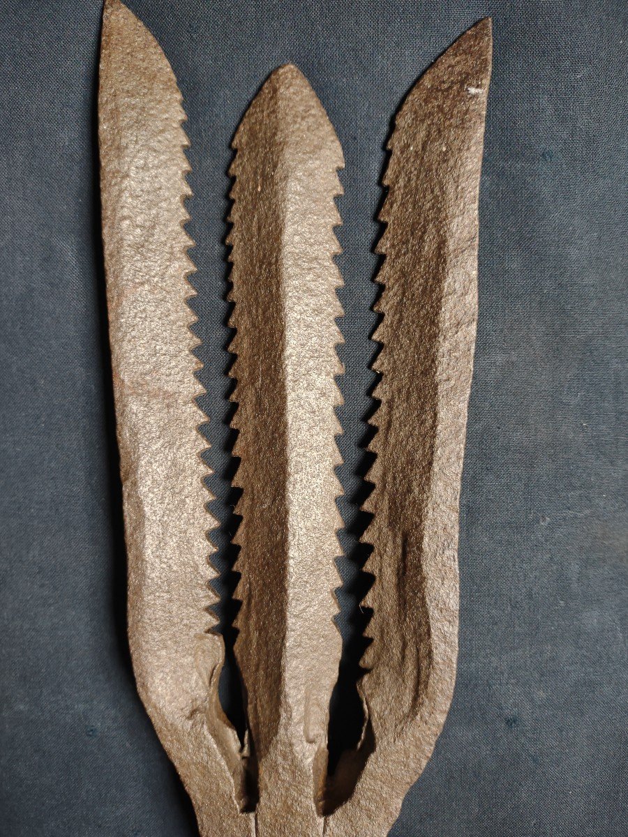 Forged-iron Eel Spear-photo-3