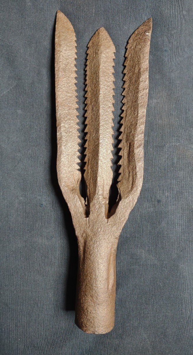 Forged-iron Eel Spear