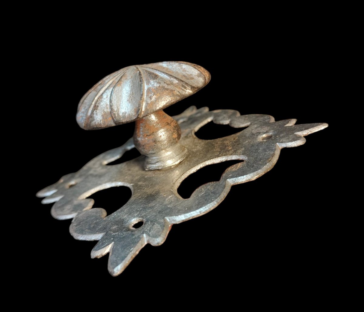 Bouton de porte en fer forgé avec sa platine