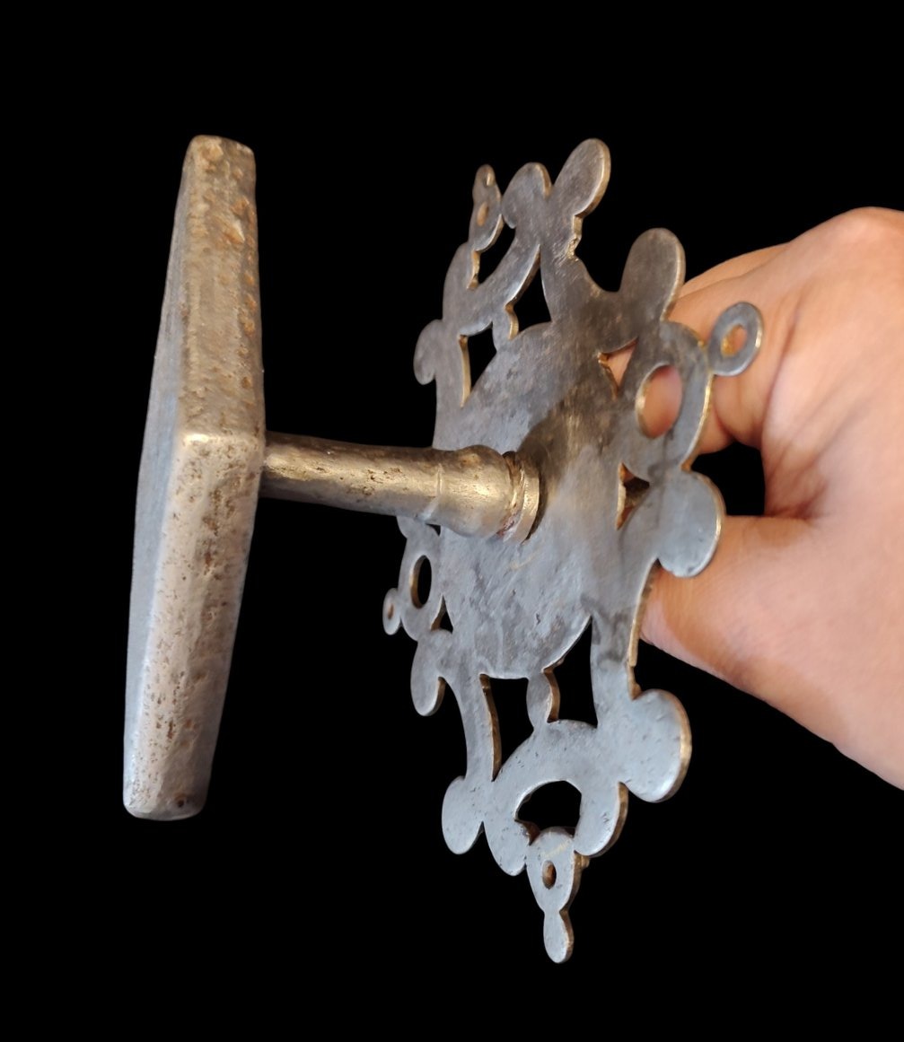 Poignée de porte en fer forgé avec belle platine-photo-2