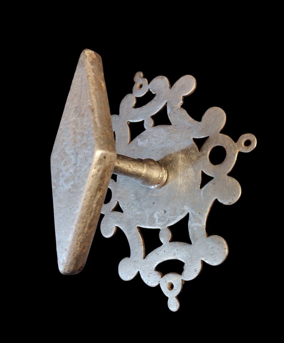 Poignée de porte en fer forgé avec belle platine-photo-3
