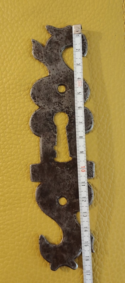 Entrées de serrure en fer forgé -photo-4