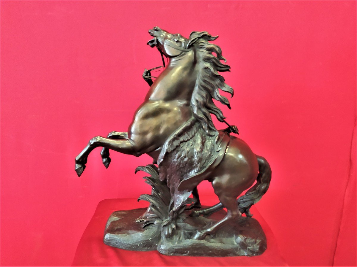 Cheval En Bronze Signé Coustou-photo-1