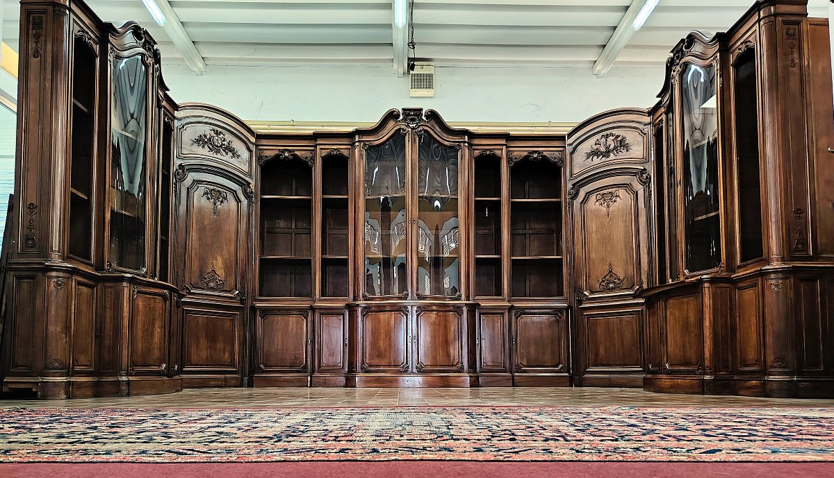 Bibliothèque Boiserie de château français (XIXe siècle)