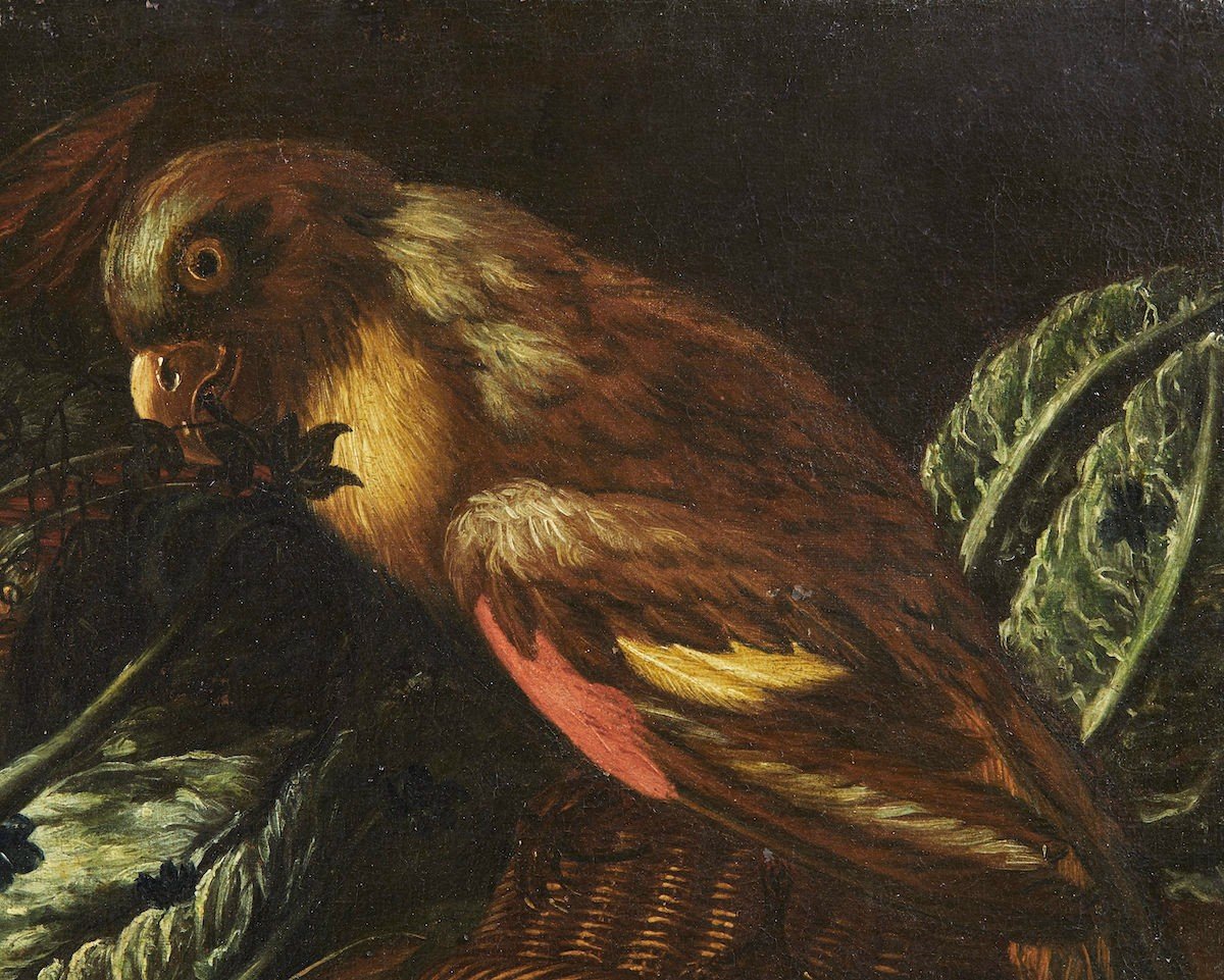Ecole émilienne, XVIIe siècle, "Nature morte au perroquet"-photo-2