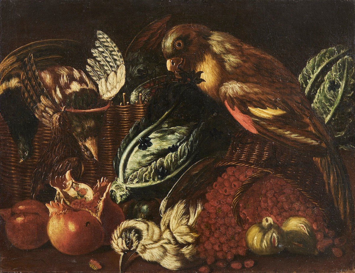 Ecole émilienne, XVIIe siècle, "Nature morte au perroquet"