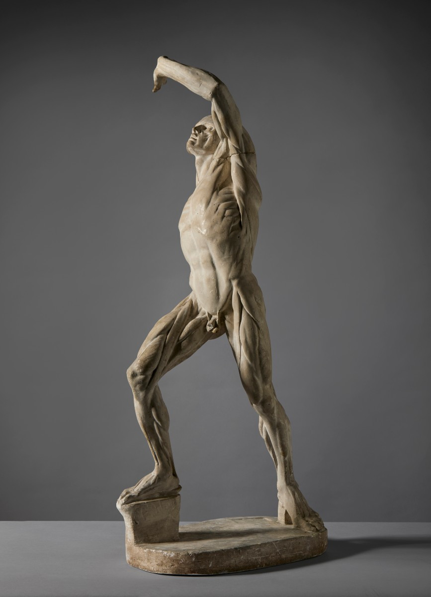 By Jacques - Eugène Caudron (1818–1865) - “ecorché” (fleshed-out Figure) With Raised Arm-photo-4