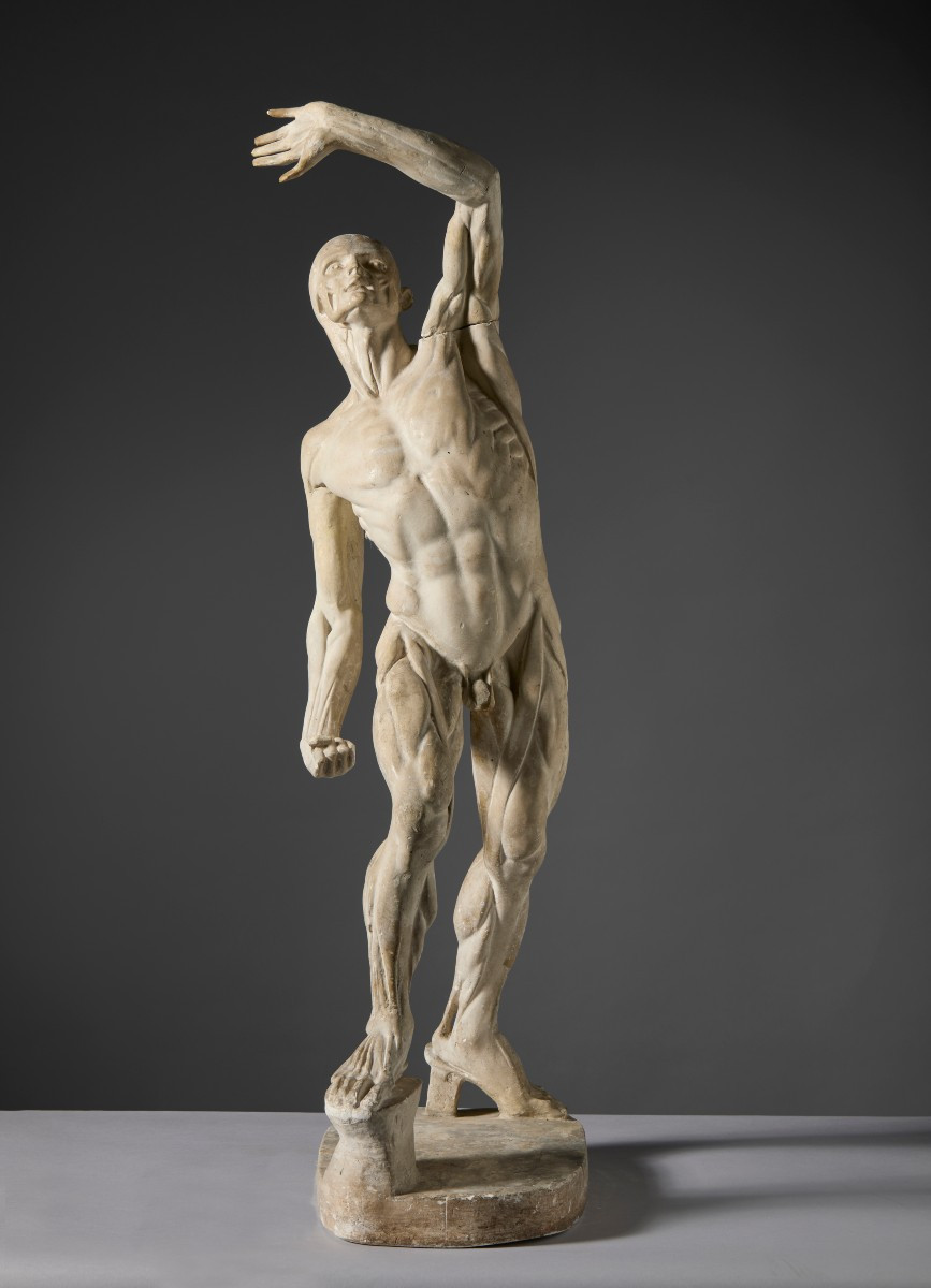By Jacques - Eugène Caudron (1818–1865) - “ecorché” (fleshed-out Figure) With Raised Arm-photo-4