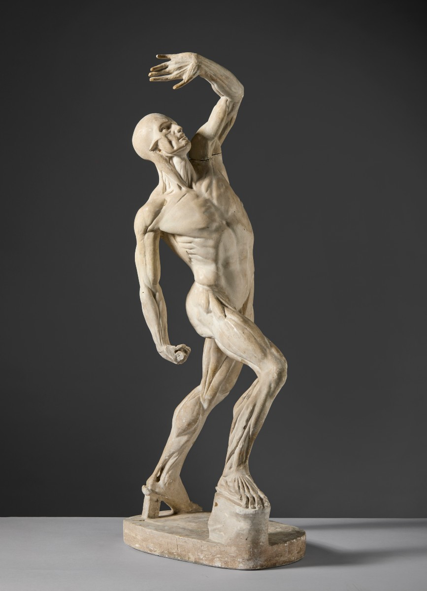 By Jacques - Eugène Caudron (1818–1865) - “ecorché” (fleshed-out Figure) With Raised Arm
