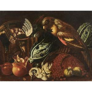 Emilian School, 17th Century, "still Life With Parrot"