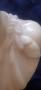 1618722-68ce641a164e5.jpg