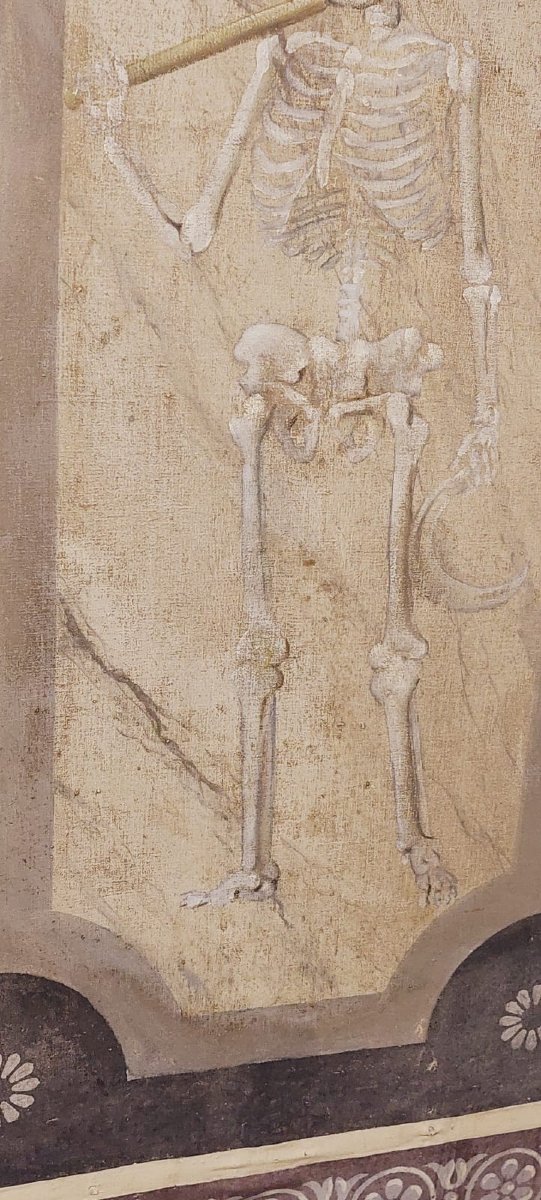 Memento Mori Large Skeleton Painted In Tempera On Canvas 18th Century. Italy-photo-5