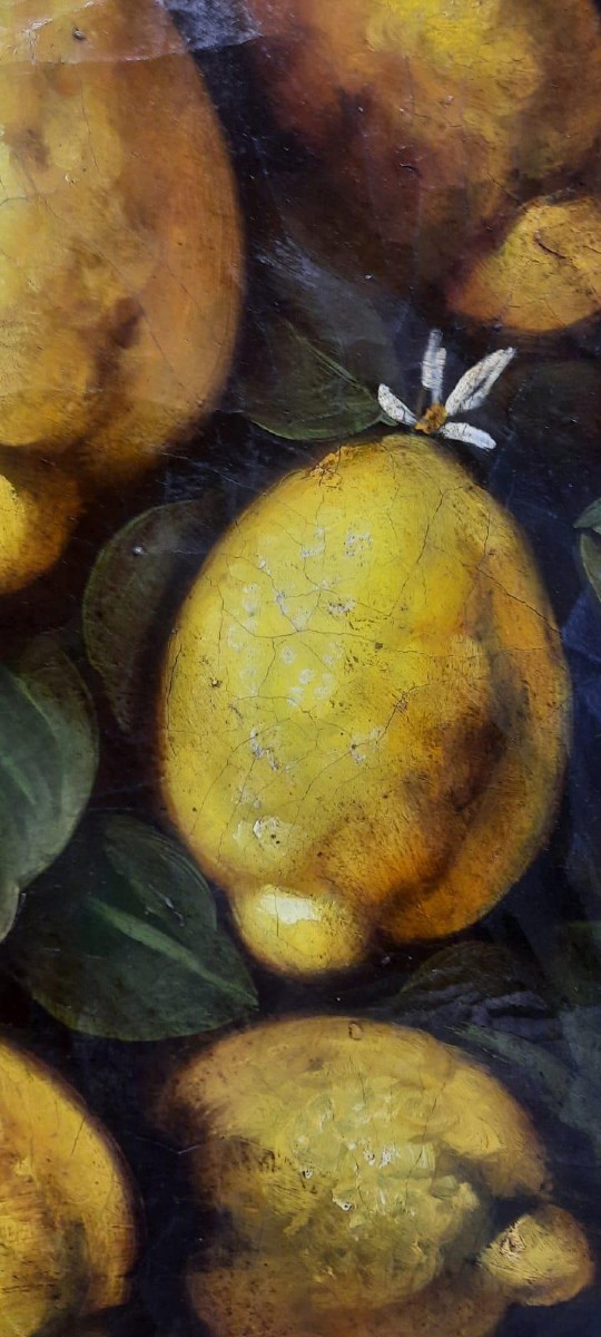 Oil Painting On Canvas, Lemons, 17th Century Style, Italian Painter - Diameter 100 Cm-photo-4