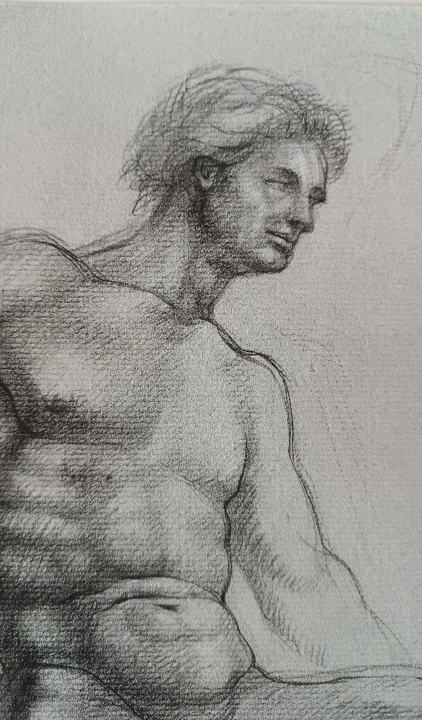 Pencil Drawing On Paper, Male Nude Sketch - Gabriele Vicari-photo-1