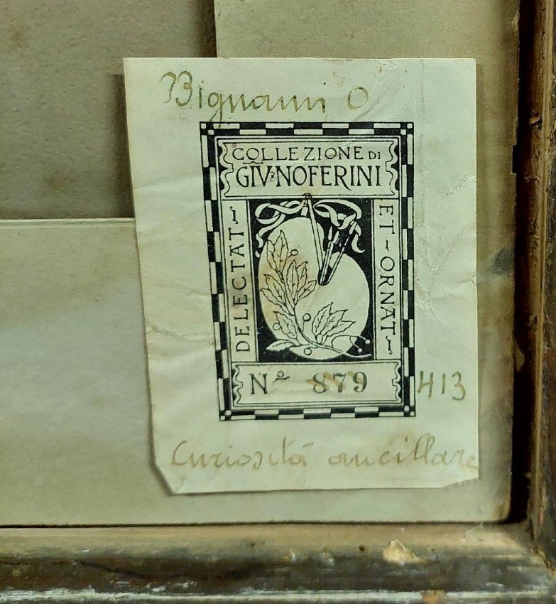 Antique Drawing Two-faced Osvaldo Bignami-photo-3