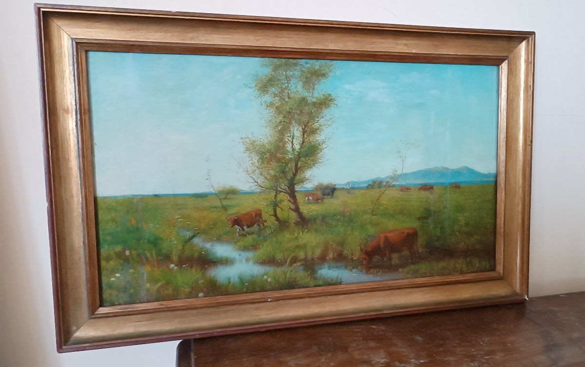 Oil Painting On Panel - Cows - 19th Century-photo-2