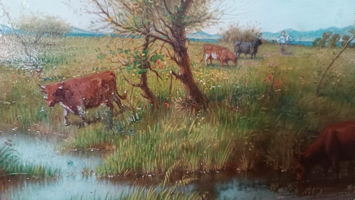 Oil Painting On Panel - Cows - 19th Century-photo-1