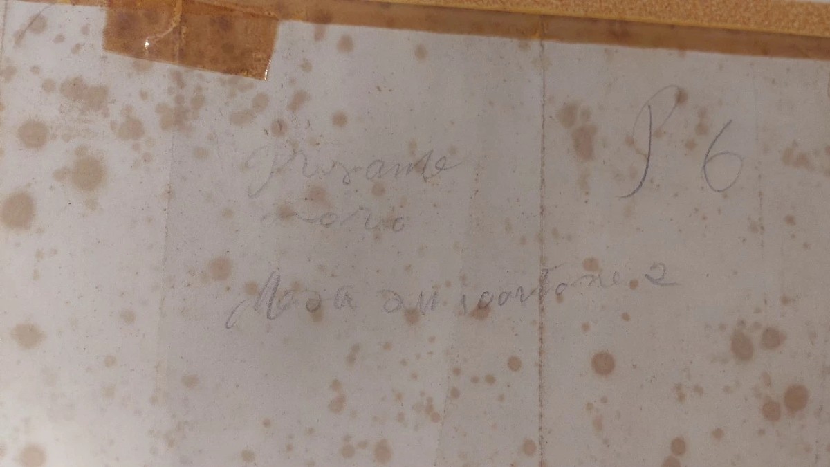 China Drawing On Paper With Characters Gleichenberg Austria 19th Century Antique-photo-4