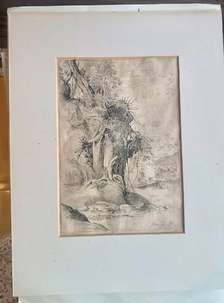 Dessin ancien sur papier vergé - XVIIe siècle - par Annibale Carracci