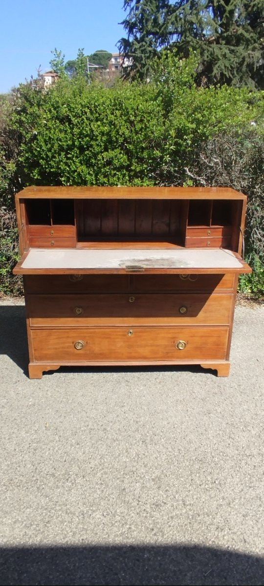 Commode Étroite avec Bureau Pliant en Acajou George III 1780/1820 Antique-photo-5