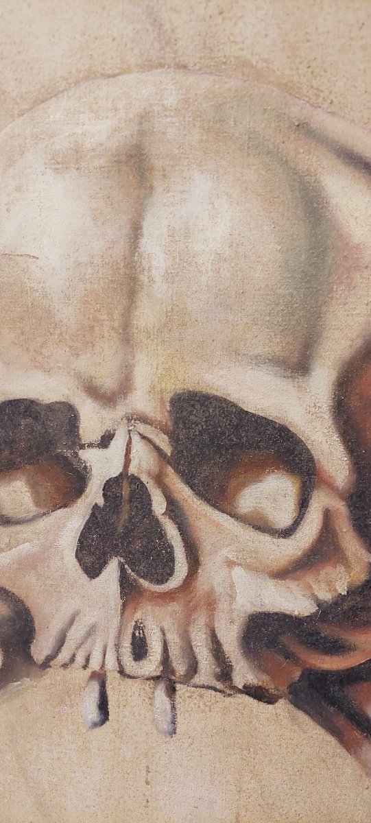 Memento Mori Large Tempera Painting On Canvas 18th Century. Italy 174 Cm-photo-4