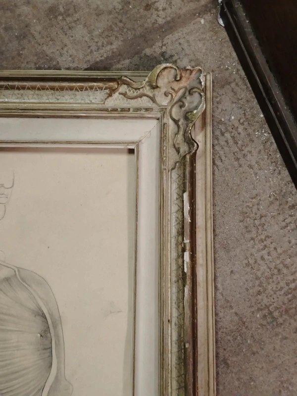 Old Anatomical Pencil Drawing-photo-1