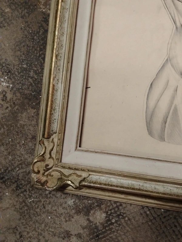 Old Anatomical Pencil Drawing-photo-2
