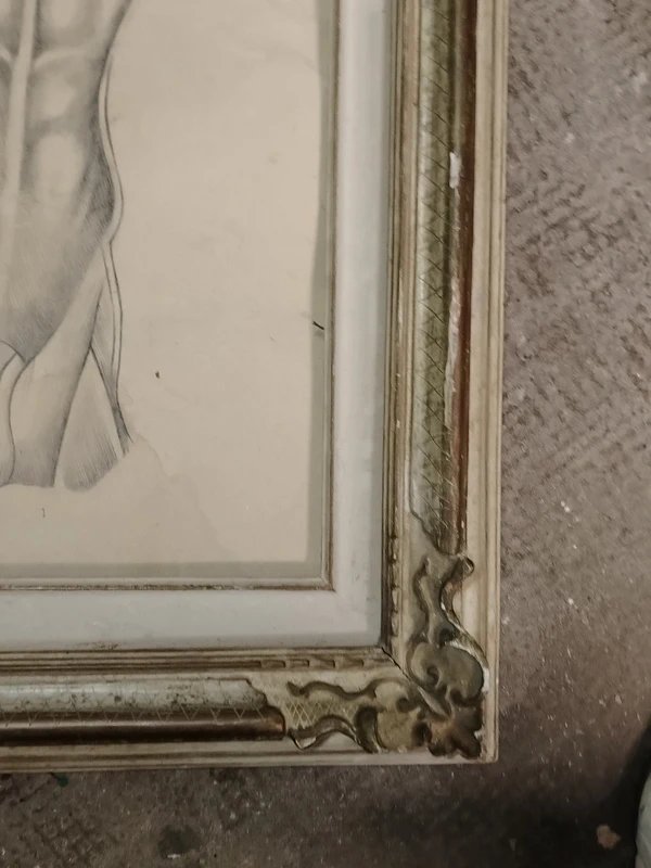Old Anatomical Pencil Drawing-photo-3