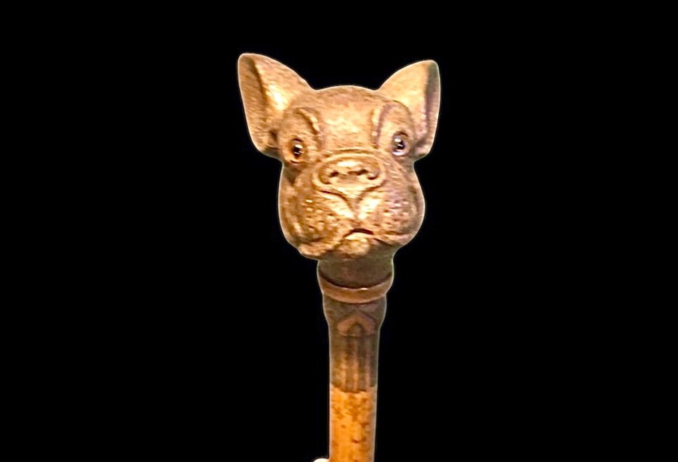 Stick With Wooden Knob Depicting The Head Of A French Bulldog Dog. Engraved Rattan Barrel.-photo-3