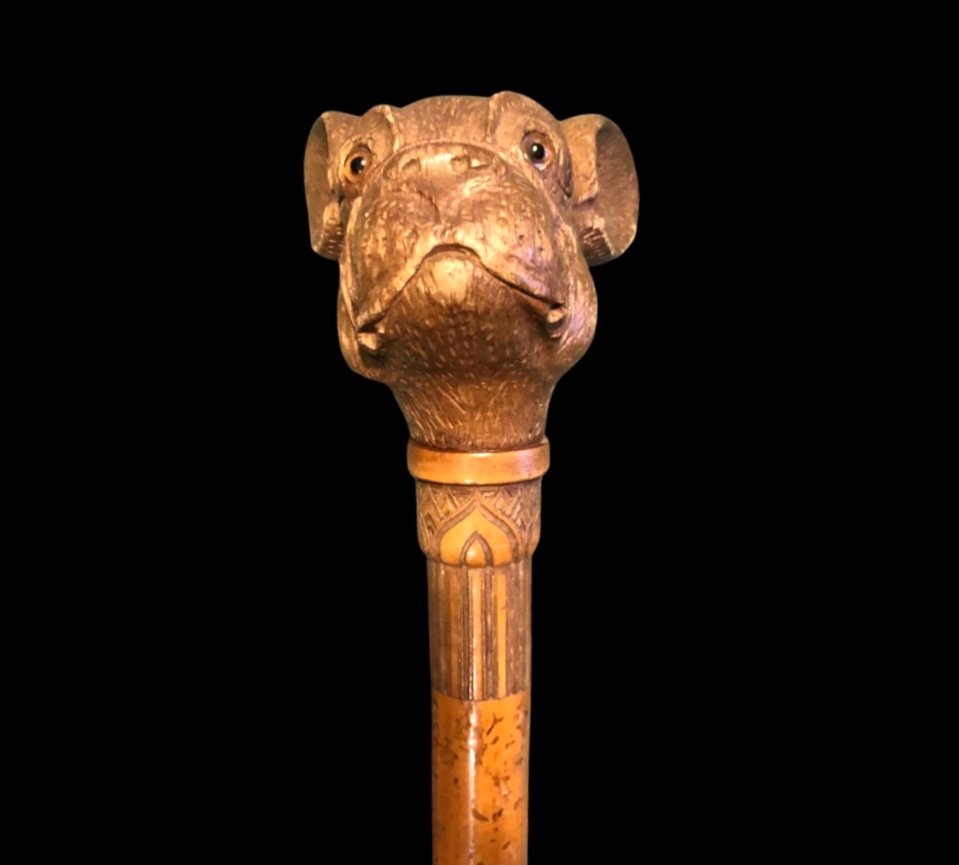Stick With Wooden Knob Depicting The Head Of A French Bulldog Dog. Engraved Rattan Barrel.-photo-4
