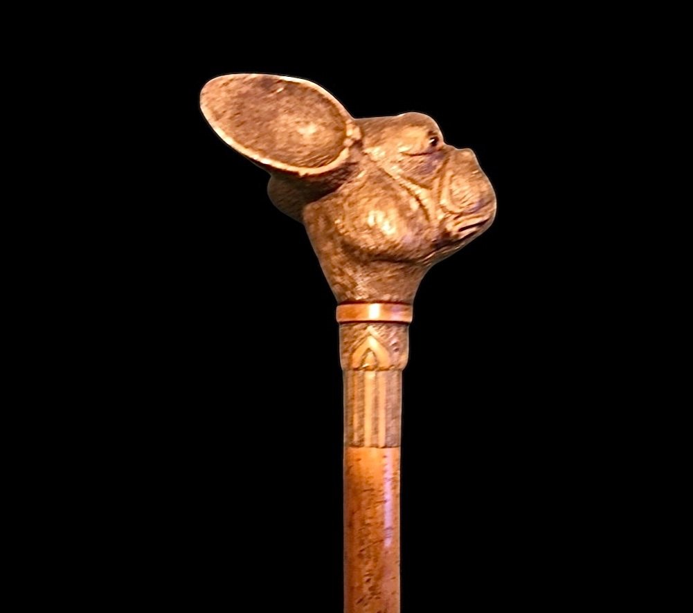 Stick With Wooden Knob Depicting The Head Of A French Bulldog Dog. Engraved Rattan Barrel.-photo-1