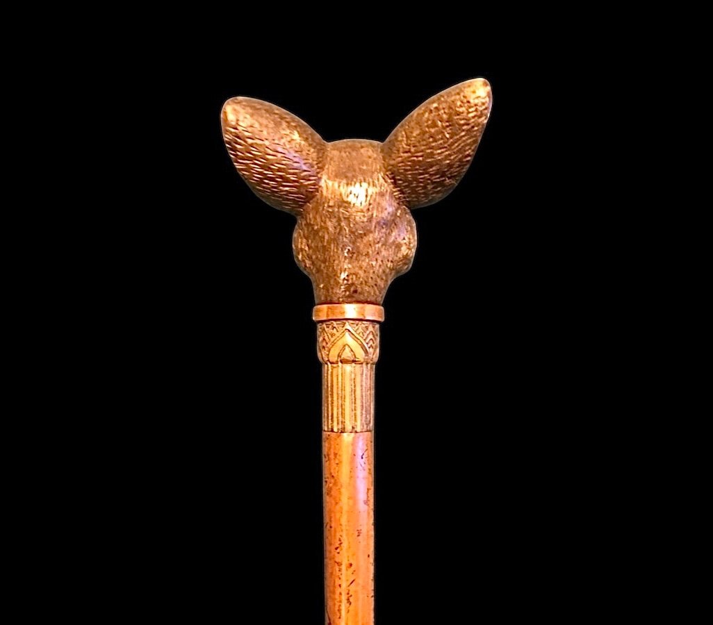 Stick With Wooden Knob Depicting The Head Of A French Bulldog Dog. Engraved Rattan Barrel.-photo-2