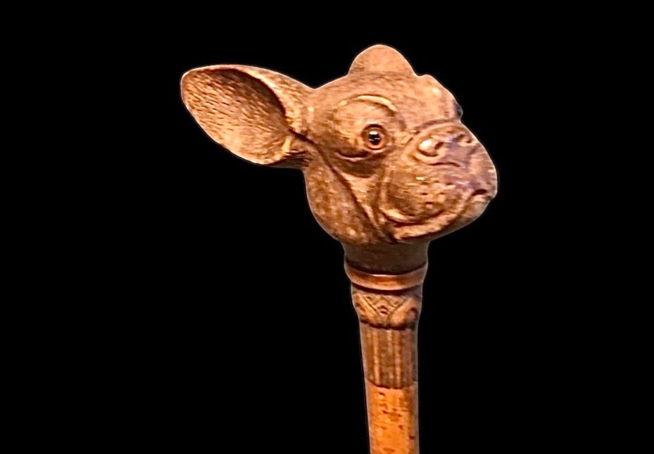 Stick With Wooden Knob Depicting The Head Of A French Bulldog Dog. Engraved Rattan Barrel.