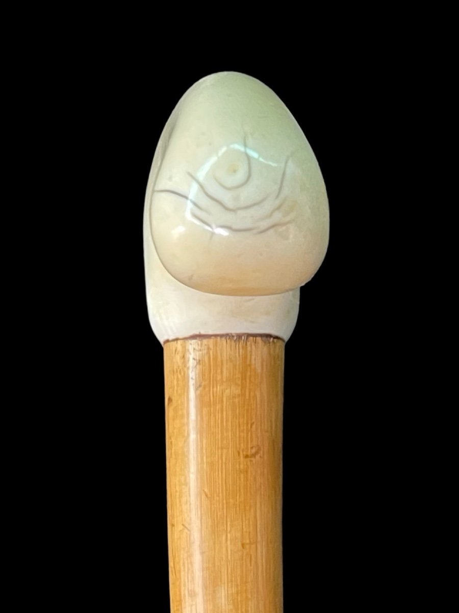 Stick With Lateral Ivory Handle Depicting A Dog Inside A Hiding Place. -photo-1
