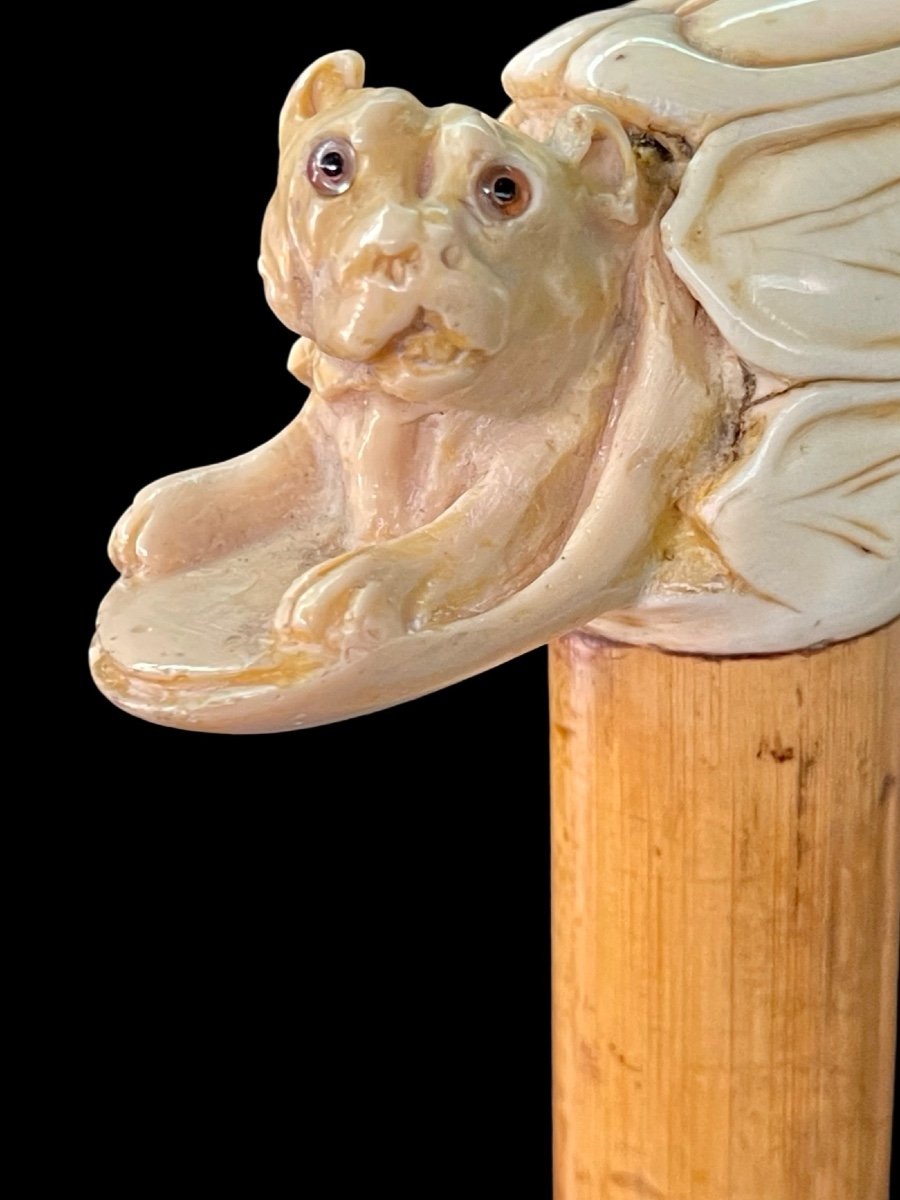 Stick With Lateral Ivory Handle Depicting A Dog Inside A Hiding Place. -photo-2